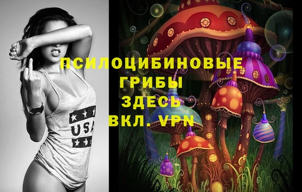 тгк Белокуриха