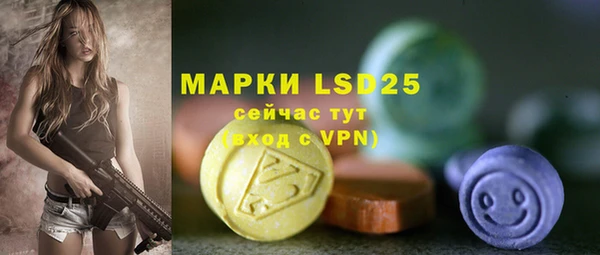 ECSTASY Богородск