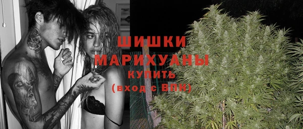 тгк Белокуриха